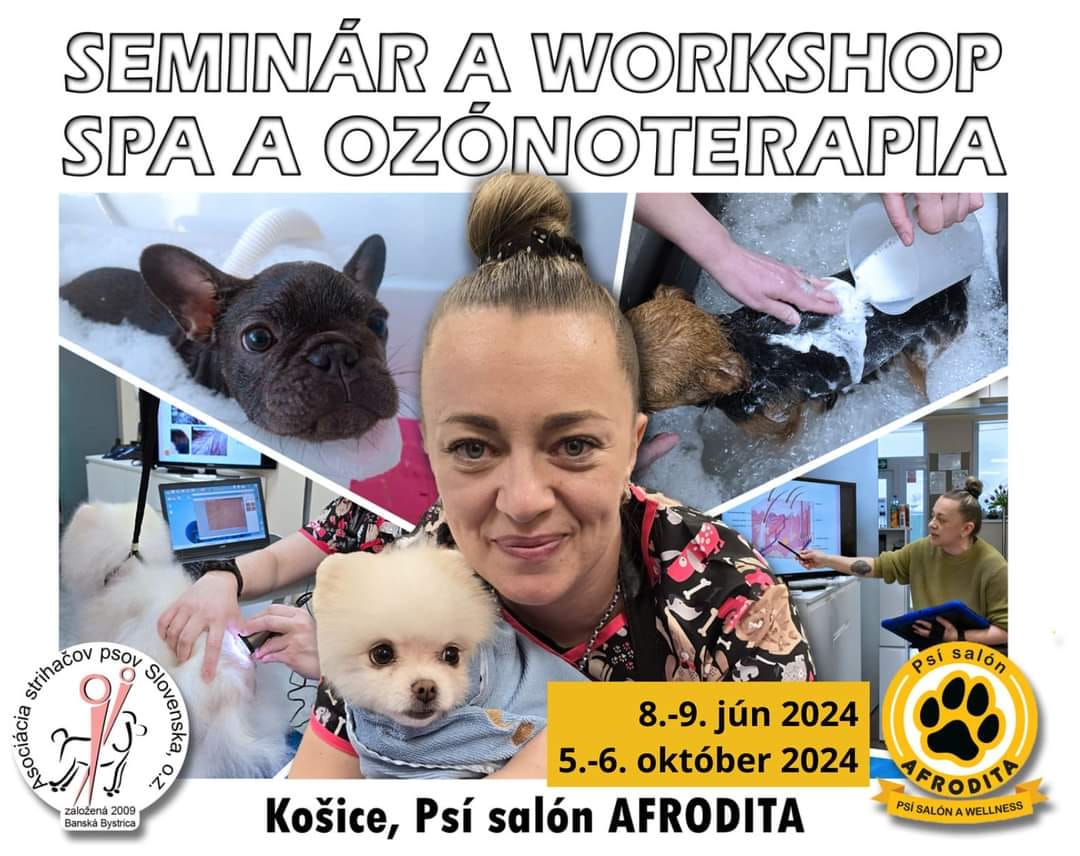 484648529_1049327770574787_4922513253289718605_n