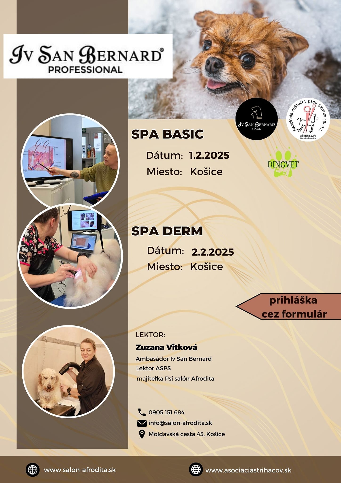 485728146_1054332320074332_5288111078900143093_n