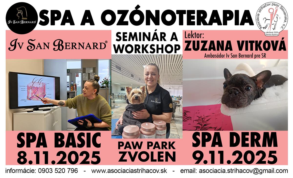 556096169_1204208951753334_2193701844236661572_n